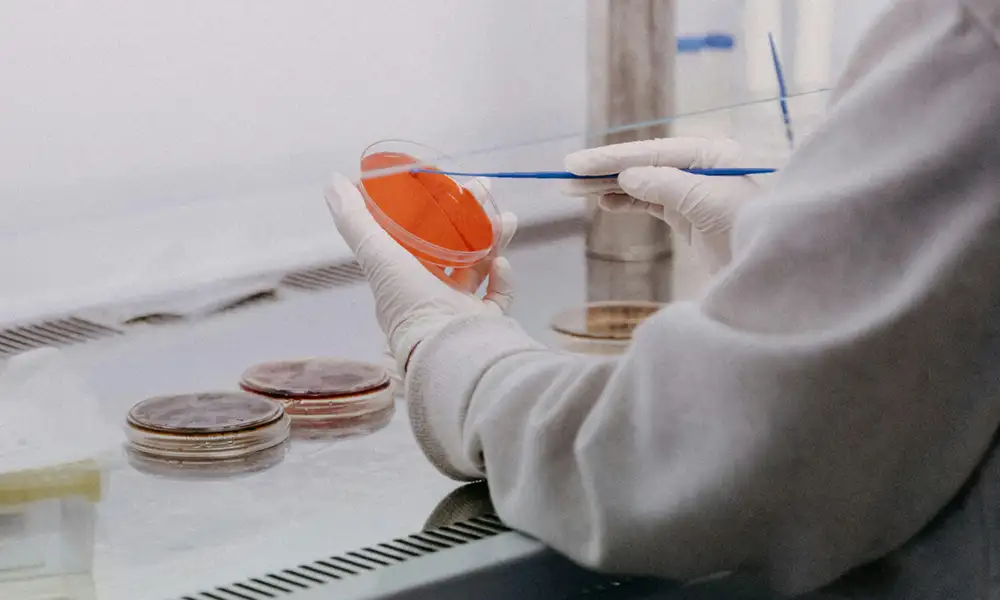 Cleanroom Filtration